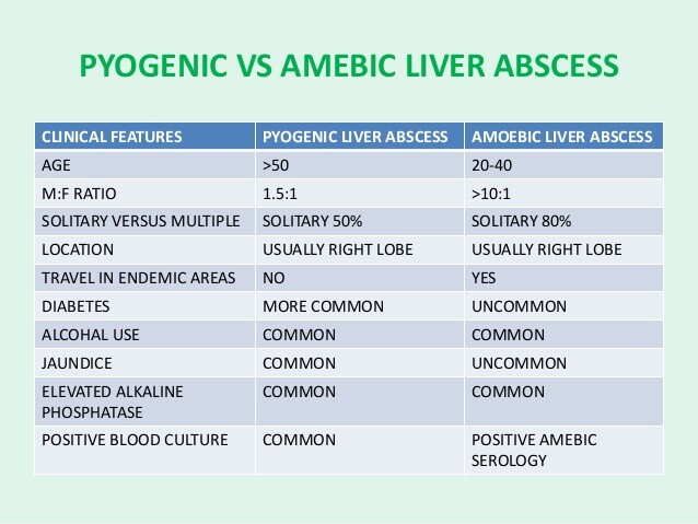 Leberinfektionen und -befälle