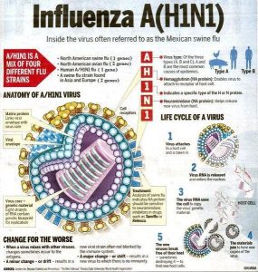 Symmetrel (Amantadin)